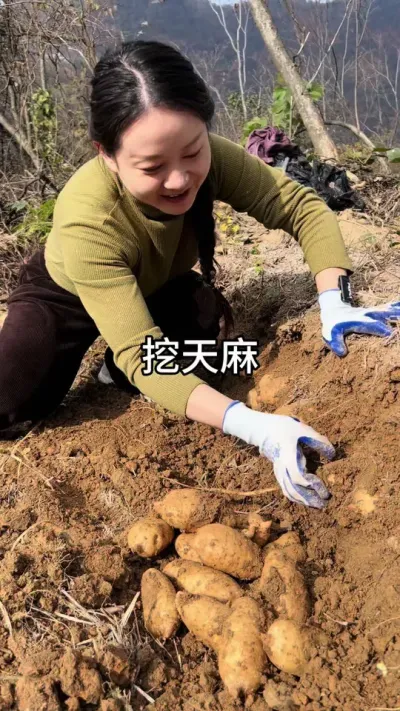 ������ #��ũ #��ũݪֲ #ݪֲ���� #����ݪֲ@����С����