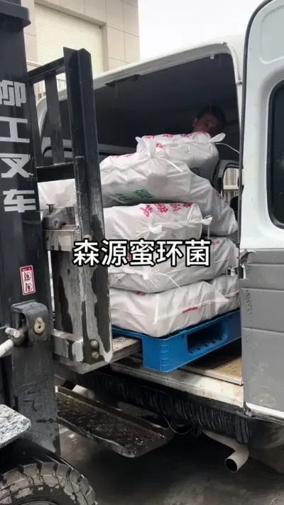 ɭԴۻ #ʵƵ #Դͷ #ۻ@С