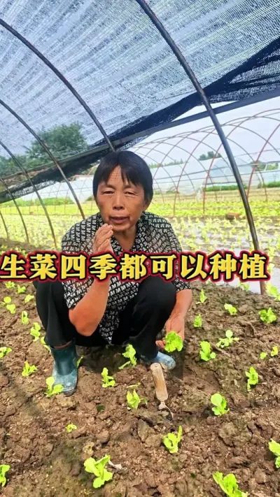 򶼿ݪֲ#ũ # #߲ #߲ݪֲ #ݪֲС @С @DOU+С @DOU+