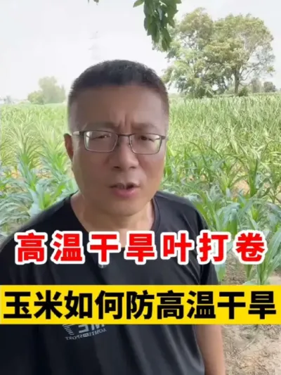 ¸ɺҶ¸ɺ  #ݪֲ #ݪֲ #׸߲ݪֲ #׹ #ݪֲ