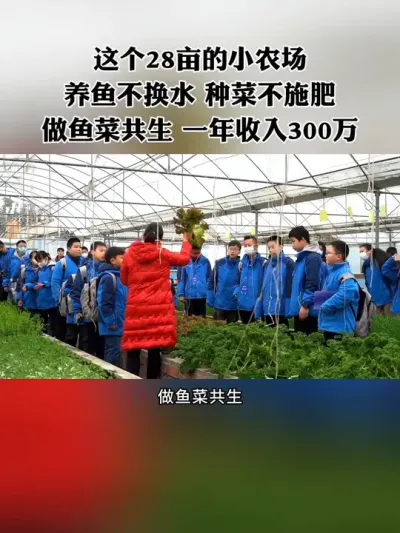 这个28亩的小农场，养鱼不换水，种菜不施肥，做鱼菜共生，一年收入300万，堪称小型三产融合的标杆！#休闲农业 #新农人 #农场 #农庄 #三产融合