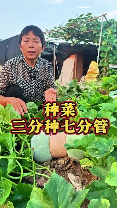 ֲ  ߷ֵ# #ũ #ݪֲС #߲ #߲ݪֲ @DOU+С @DOU+ @С