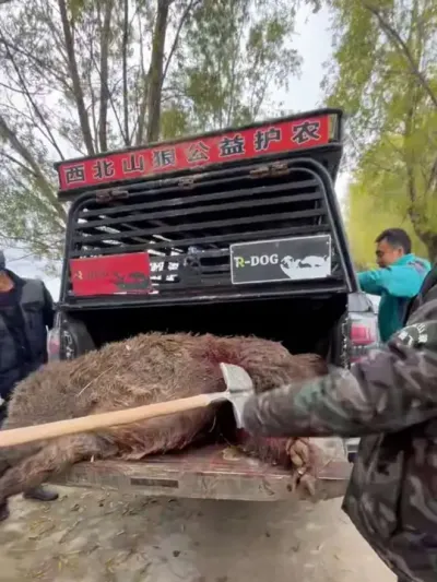 #滤ũ 滤ũļǿйɽֵũǶ@ɽ(ڷ) @ɽǻ