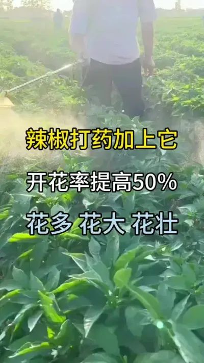 ҩŻ50%໨׳ #ũ #ũҵݪֲ #ݪֲ