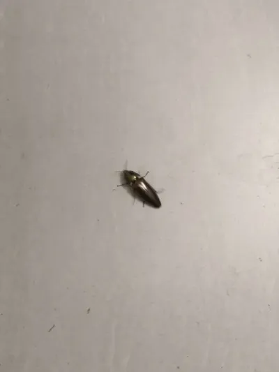 9888��˹ά��˹(�ɷ�)���޹�˾-�ٷ���վ