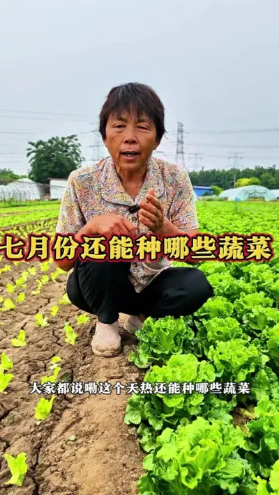 ·ݻЩ߲#ũ #ֲʱ #߲ #߲ݪֲ #ݪֲС @С @@DOU+С