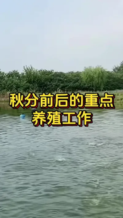 #ĶϺ#οˮ#׶Ϻ#θ#׳