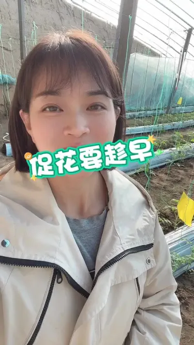 #ٻ###¼ҵݪֲ# Ҫ٭СƳ@С