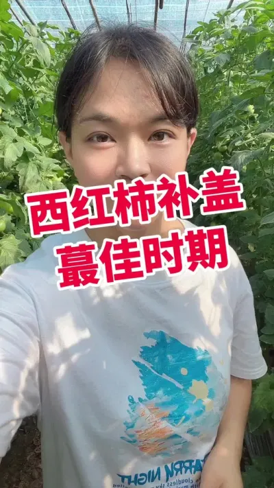 #������ݪֲ #����������#¶��������#���� С�Ƴ��µ�@����С����