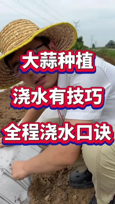 ⽽ˮ#ũҵݪֲ #ũҵݪֲ #ݪֲС #ݪֲ #⽽ˮ