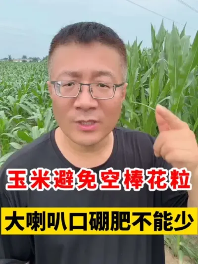 ֹհͺͻ֮ǰȿʲ٣ #ݪֲ #ݪֲ #׸߲ݪֲ #׻ #׹