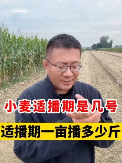 СʲǼʲСһĶӦò #Сݪֲ #С߲ #Сݪֲ #С #ũҵ֪ʶũ