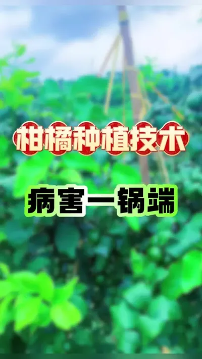 ٲǰԤ#ݪֲ #ٹ #ٲ # #ũҵݪֲ