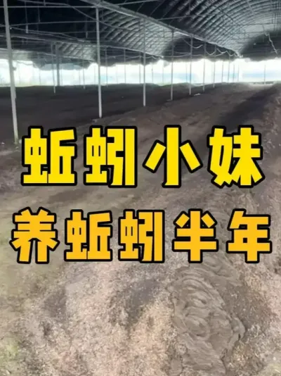 ˿ ֳ򾴲#ֳ #ũ #ũ崴ҵ