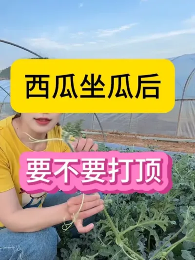 #助农行动 #农业种植技术 #抖音助农在行动