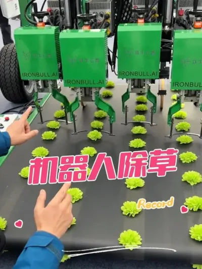 AIܳݻе #2025йũչ