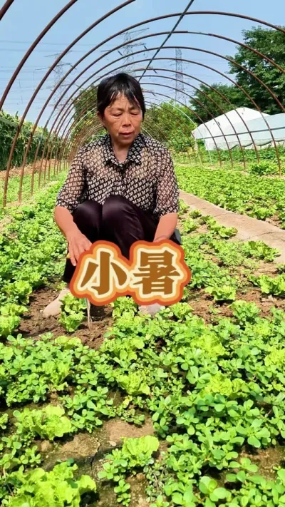 ʮĽ֮С#ʮĽ #ũ #С #С #߲ @С @DOU+С @DOU+