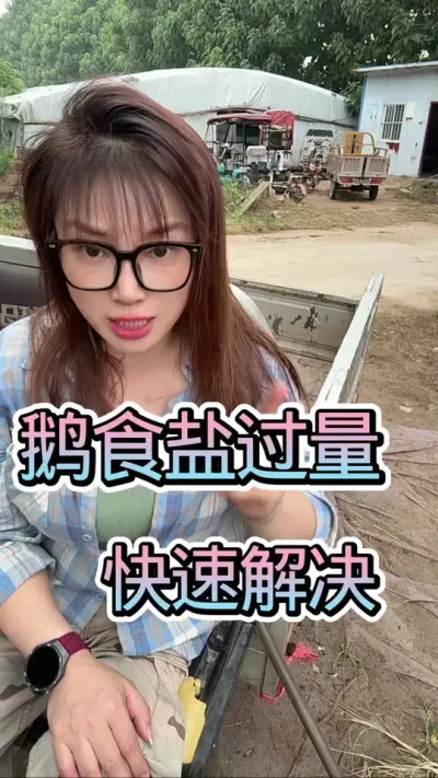 ʳιЧ##շ #ũ崴ҵֳ