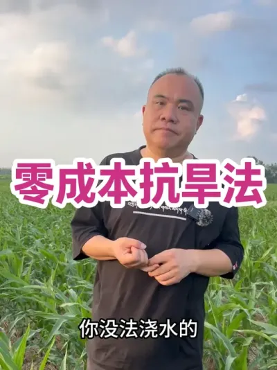 㱾Ǯ ʵûˮ֪ʱͶлطʻΪûδǾÿĶòľ 200 ˣˮ 50 ʩһάֵ       Ŀȡɿɣ#ũҵݪֲ