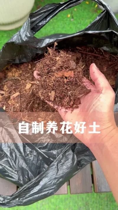 һЩҶͲӪ#ֲ #С֪ʶ #İ