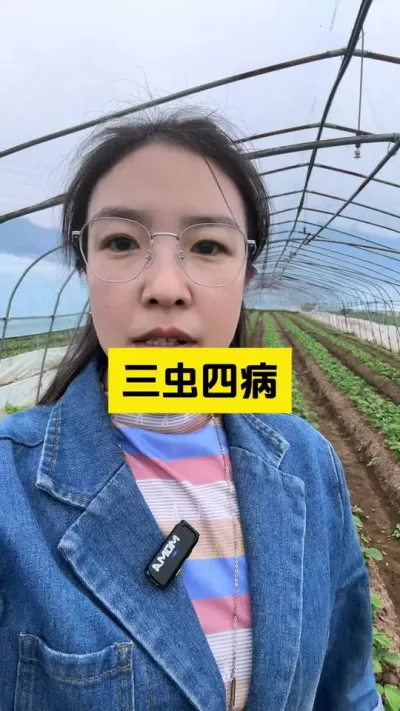 ݮĲҩԤ#޽ #ݮݪֲ #溦 #ũҵݪֲ #ũ