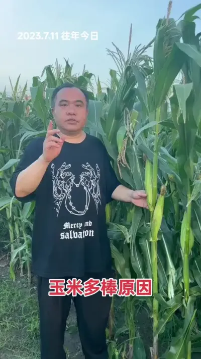 λʧ͸缫ѴγɶӪ 1.5  2 