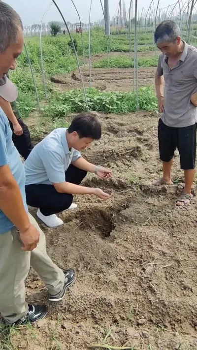 ǾݪֲеնͷֳһʺεĹÿһ̤ĵطвĹҪмǾݪֲҪһҪ“”# # #Ǿ #Ǿ