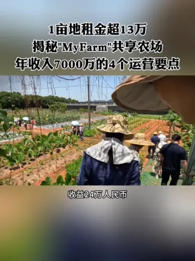 1Ķ�����13�򣡽���&ldquo;My Farm&rdquo;����ũ������7000���4����ӪҪ�㣡#����ũ�� #����ũҵ #������԰ #��ũ #ũ��