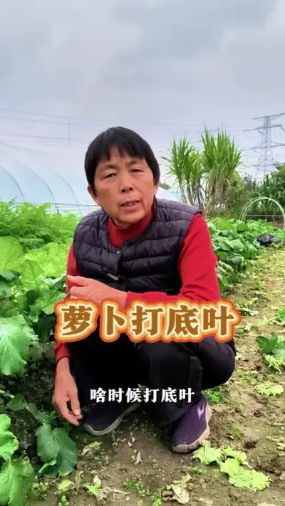 ܲҶ#ũ #ܲ #߲ #ݪֲСС @С@DOU+С  @DOU+