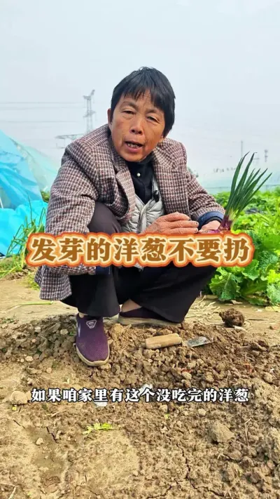 ѿ#ũ # #߲ #ݪֲС @С @DOU+С @DOU+