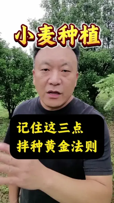 Сֻƽ#Сּ #Сݪֲ