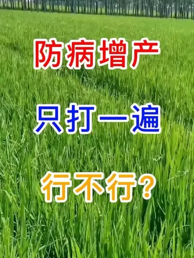 ֻһв? #ũҵ֪ʶũ #ũҵ #ũ֧ũ #ݪֲС #һݸһջ