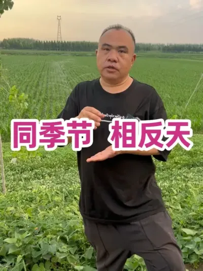 ͬ ෴ ͳһֵ#ũҵݪֲ