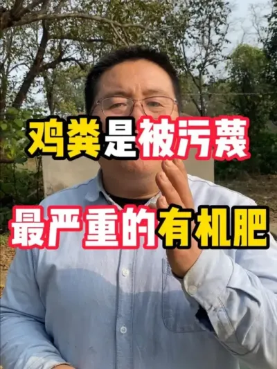 鸡粪到底是不是好有机肥？ #鸡粪 #有机肥 #农业种植 #种植技术 #鸡粪有机肥
