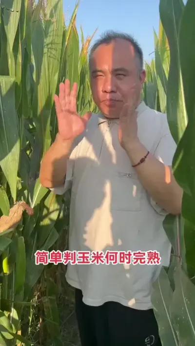 ĸϳǶĴ߰ҶɨֲĸĴ󰮣