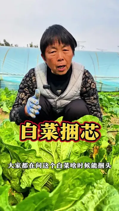 ײоС#ũ #߲ #ײ #ײݪֲ #ݪֲС @DOU+ @DOU+С @С