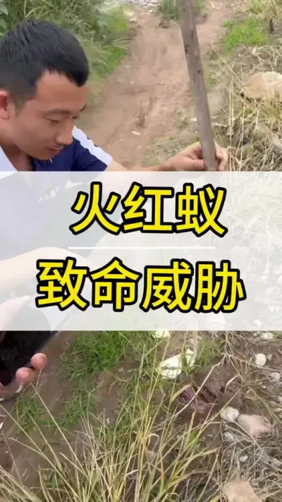  ô #ݪֲ #ũ2022 #õ # #ݪֲ