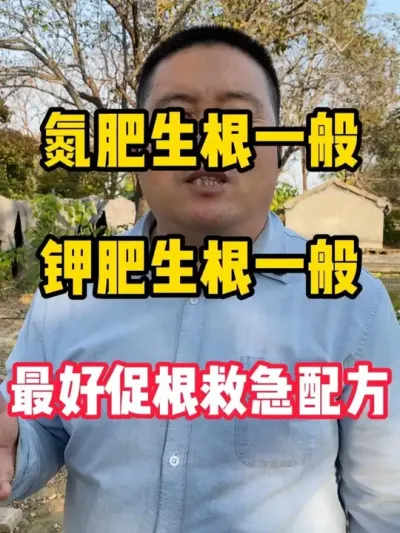 õĴٸ䷽#ϵ # #ũҵݪֲ #ݪֲ