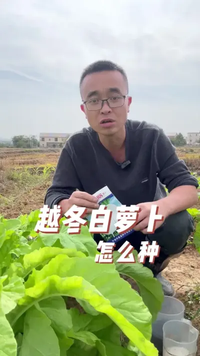 Խܲô#ֲС #ֲ #ѧֲ #עһѧֲ #ͥݪֲ