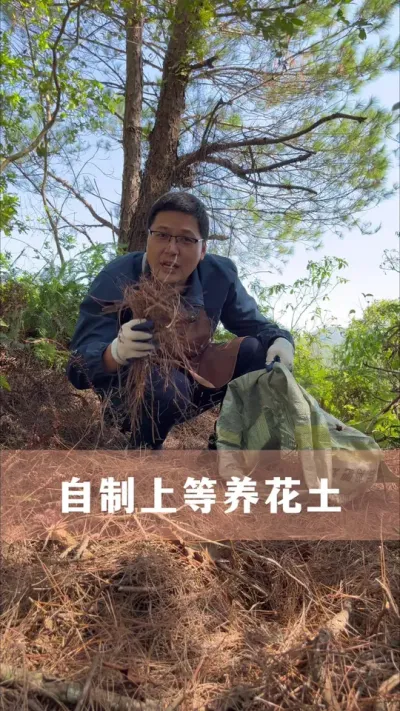 营养土不用买，教你自制上等好土#花卉绿植 #养花小知识 #爱生活爱养花