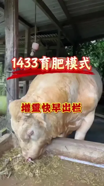 ţ120䷽#ţֳ#ţֳ#ֳ