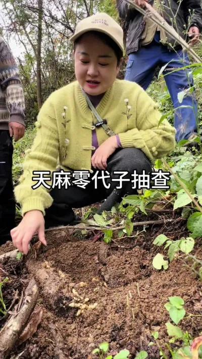 ӳ #ũݪֲ #ݪֲ #ũ崴ҵֳ@С