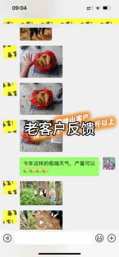 Ͽͻ ٭ۻӶǴɹ꼫Ȼһƽ2 0#ũ #ݪֲ##ۻ @С