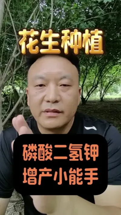 #�������� #����ݪֲ�������� #������������