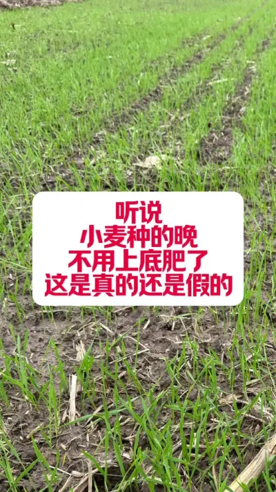 Сֵϵ׷ #ݪֲС #ũũ #ũ #ũ