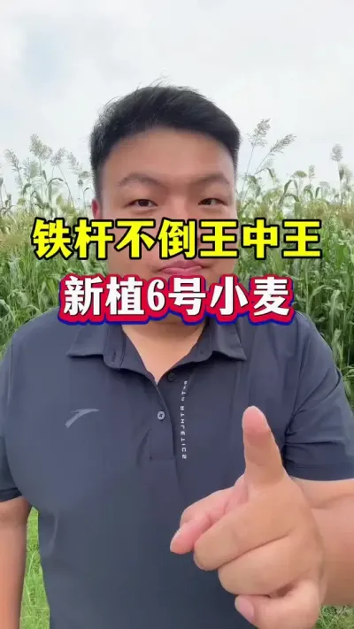 Сֲ߲6ţ #ũҵݪֲ #ݪֲС #Сݪֲ #С߲Ʒ #ֲ6