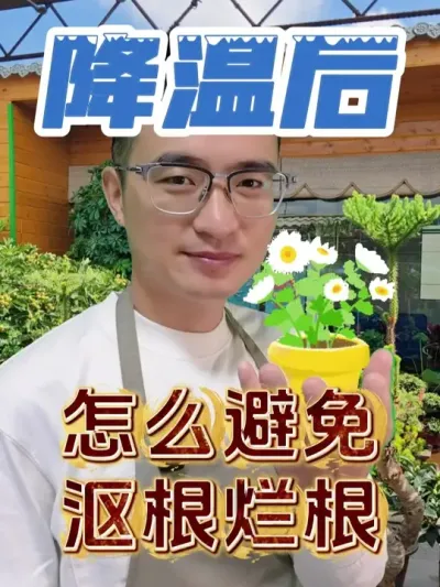 ºֹƸø # #Ƹø  #С֪ʶ