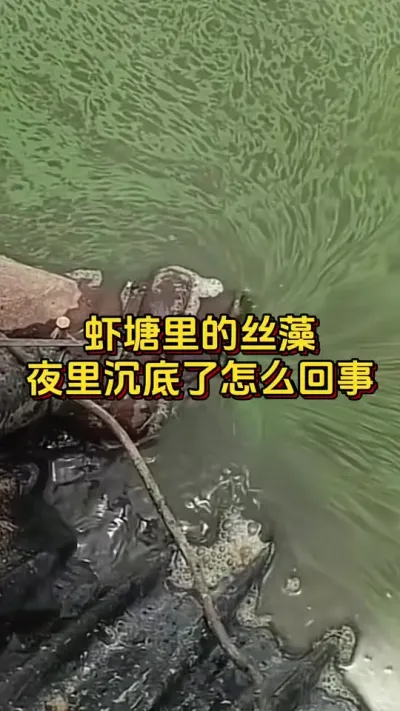 #οˮ#ĶϺ#ο#׶Ϻֳ