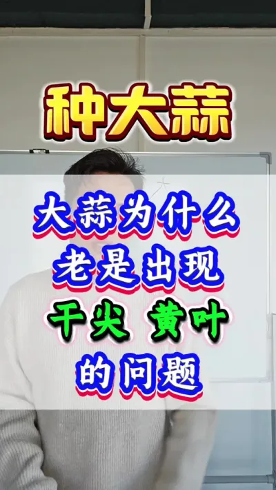 ΪʲôǷɼҶ#ݪֲ #ִ #Ƥ # #߲