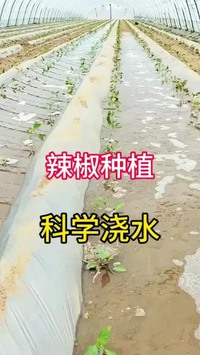 ݪֲѧˮп #ũ #ݪֲ #ũҵݪֲ